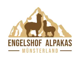 Engelshof Alpakas Münsterland in 48493 Wettringen: