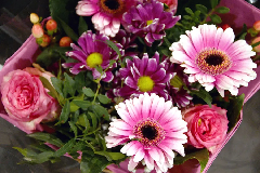 Blumen
