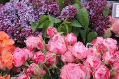EDEKA Lätsch Ellerau

Floristik
Unsere Floristik-Abteilung ist ein Blumenparadies für alle Naturliebhaber. Hier findest du eine reiche Auswahl an farbenfrohen Sträußen und liebevoll gestalteter Dekoration. Das Besondere: Unsere Sträuße werden auf Wunsch f