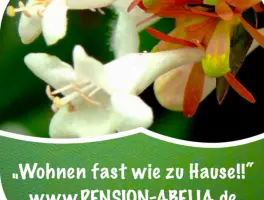 Abelia Pension und Ferienwohnungen Helmstedt in 38350 Helmstedt: