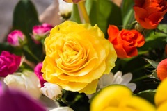 FLORISTIK
Entdecken Sie in unserer Floristik-Abteilung eine vielfältige Auswahl an Schnittblumen und liebevoll gestalteten Blumentöpfen, die Ihre Räume in ein Blütenmeer verwandeln. Unsere Floristen legen großen Wert auf Qualität, daher erhalten Sie alle 
