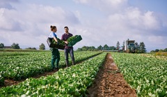 Foodservice Brüning ist ihr zertifizierter Großhandel für Obst, Gemüse, exotische Früchte und Feinkost. 

Frische, Qualität und zuverlässiger Kundenservice sorgen für eine hohe Zufriedenheit unserer Kunden.

 „Gehe immer mit der Zeit“ ist unser Motto, die