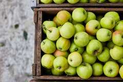 OBST UND GEMÜSE
So bunt Neuallermöhe, so vielfältig ist unser Obst- und Gemüse-Sortiment. Sie erhalten alle Produkte täglich frisch und häufig in bester Bio- oder Demeter-Qualität. Unsere saisonalen Leckerbissen sind eine schmackhafte Liebeserklärung unse