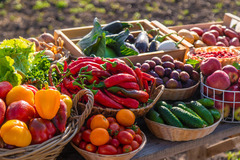 OBST UND GEMÜSE
Wir bekommen jeden Tag frische Lieferungen, darunter auch viele Erzeugnisse von regionalen Partnern und zusätzlich saisonale Waren – je nach Jahreszeit. Darunter finden Sie ebenfalls eine Auswahl an Bio-Produkten und solche von Demeter. En