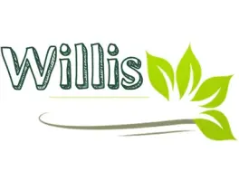 WILLI’s - Restaurant & Café Inh. Dinh Duc Thuan in 10405 Berlin: