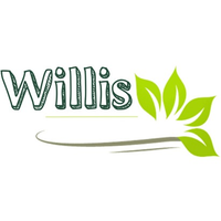 WILLI’s - Restaurant & Café Inh. Dinh Duc Thuan · 10405 Berlin · Prenzlauer Allee 183
