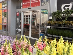REWE Hinter den Gärten 1, 50189 Elsdorf Eingang 1