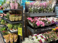 REWE Zuericher Str Muenchen Blumen