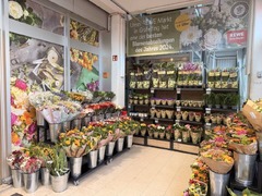 REWE Kleinhadernerweg 6 Gräfelfing Blumen