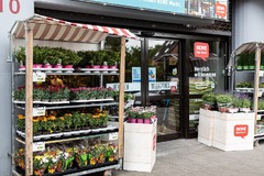 REWE Olpener Str Köln Brück Eingang & Blumen