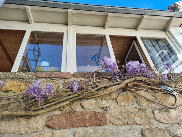 Ferienhaus am Park