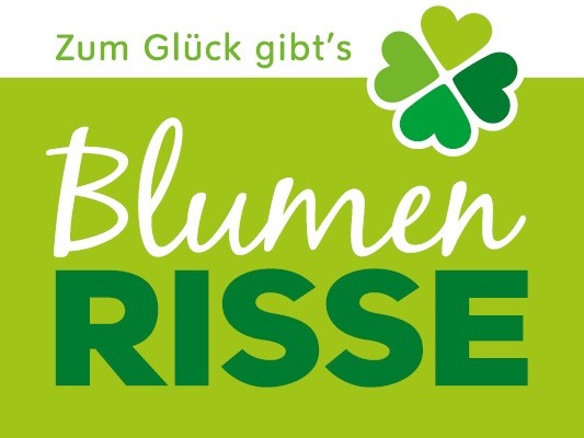 Blumen Risse Café Kreuztal