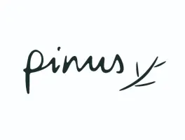 pinus in 88048 Friedrichshafen: