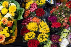 Sonstiges
Werfen Sie auch einen Blick auf unsere bezaubernden Topf- und Schnittblumen.

Beim Obst und Gemüse haben wir extra eine Bio-Ecke eingerichtet, für besonders nachhaltige Anbaumethoden. Unsere Auswahl an vegetarischen und veganen Produkten wächst 