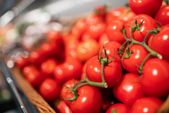 Obst und Gemüse
Knackig-frisches Obst und Gemüse ist nicht nur gesund, sondern auch ein absoluter Hingucker. Genau diese Frische erhalten wir täglich von unserem Hauptlieferanten EDEKA. Neben heimischen Klassikern findest Du bei uns auch exotische Früchte