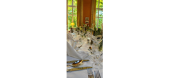 Saal Louis Ferdinand