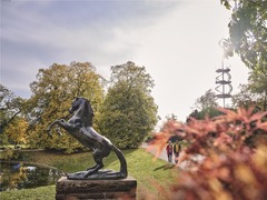 Local attraction