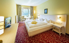 Das ist unser Hotel doppeltzimmer im Waldhaus am See in Willingen