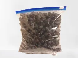 Frohnbachtaler Edelbrände in 54472 Burgen: