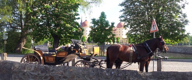 Schloss-Teichhaus