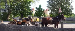 Schloss-Teichhaus in 01468 Moritzburg: