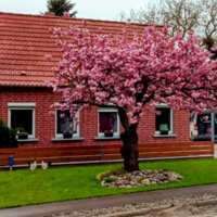 Holger Jach · 19339 Plattenburg · Uenzer Dorfstraße 49