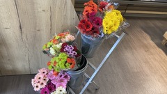 Nahkauf Weihenzell Schnittblumen