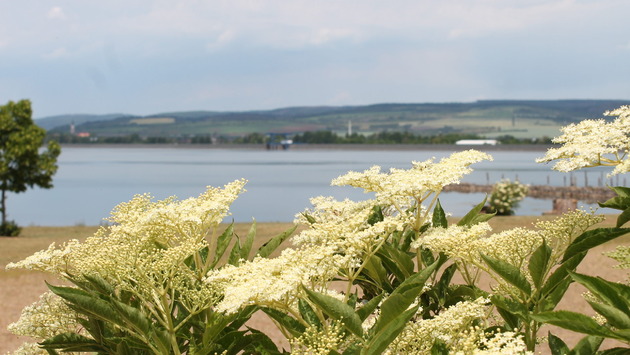 Restaurant Seeblick