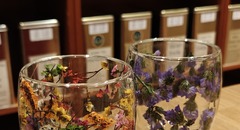 Tee Global - Teeladen Hamburg