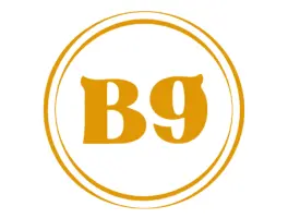 B9 Grill in 53498 Bad Breisig: