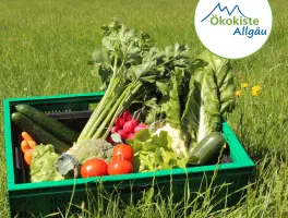 Bio-Lieferdienst Ökokiste Allgäu GmbH in 87749 Hawangen: