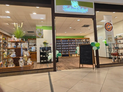 Ansicht des Teehaus Erfurt – Teefachgeschäft für exklusive Tees, stilvolle Geschenkideen, Weihnachtsgeschenke und Firmengeschenke. Das Teehaus befindet sich im Herzen von Erfurt und ist die erste Adresse für Teegenuss und Präsente in Erfurt, Weimar, Jena,