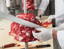 Umut Fleisch GmbH in 76646 Bruchsal: