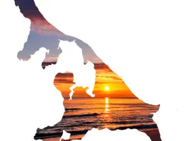 Ferienwohnung Usedom in 17454 Zinnowitz: