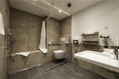 Superior Room Accessible
