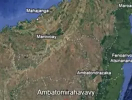 marigold madagaskar in 60489 Frankfurt Am Main: