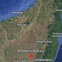 marigold madagaskar · 60489 Frankfurt Am Main · Strubbergstraße 6