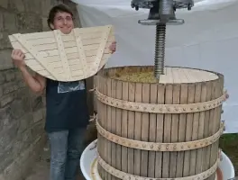 Weingut Carl-Friedrich L. Walther in 06647 An Der Poststraße: