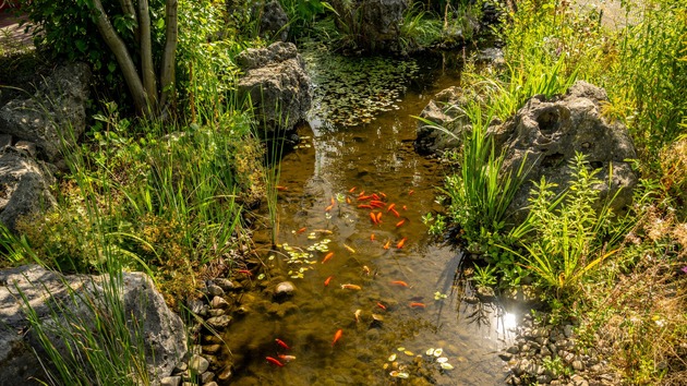 Hotel Dresdner Tor Süd