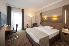 Superior Room Queensize Bed