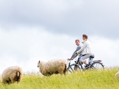 Ausflugsmöglichkeiten und Fahrradverleih