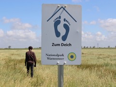 Nah am Nationalpark Wattenmeer