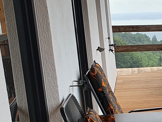 Berghotel & Chalets Adersberg - Grassau