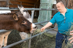 Bioland Hofgut Gaisbühl Esel