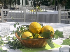 Mediterranes Event-Catering in München: Stilvolle Tischdekoration mit frischen Zitronen und elegantem Ambiente für Ihre Sommerparty oder Hochzeit.