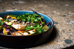 professionelles Catering - 65 Grad Catering & Events - frische, regionale Küche & Eventbetreuung in Berlin