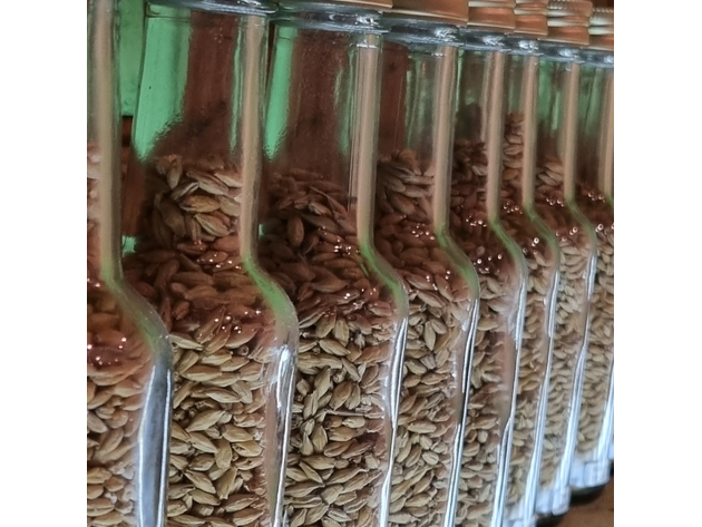 Domschatten Privatbrauerei