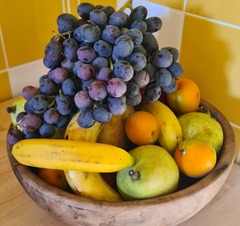 Zauberschuppen Kita Catering