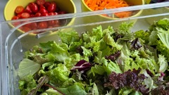 dean&david Catering | Karlsruhe - Salatbar mit Blattsalat, Tomaten, Mango, Paprika, Karotten, Gurken, Erbsen und Brot als frische Buffetstation für Catering Events.