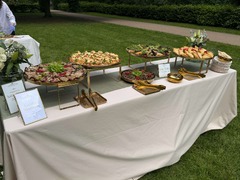 Die Feinschmecker Catering & Partyservice Hamburg - Elegantes Outdoor-Catering mit vegetarischem Buffet, gefüllten Weinblättern, Kuku Sabzi, Samosas und weiteren Fingerfood-Spezialitäten für eine Veranstaltung im Grünen.